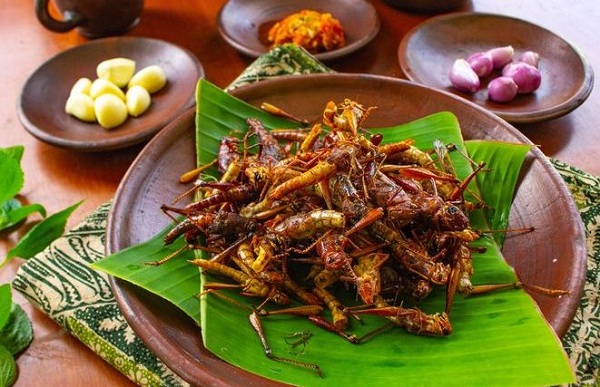 Macam Oleh Oleh Khas Jogja Kekinian Populer