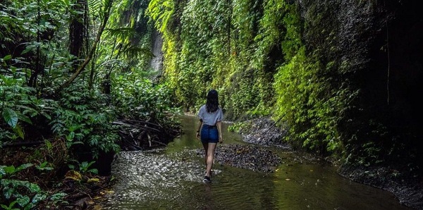 Alam Air Terjun Tukad Cepung Yang Masih Asri