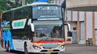 Bus Safari Dharma Raya
