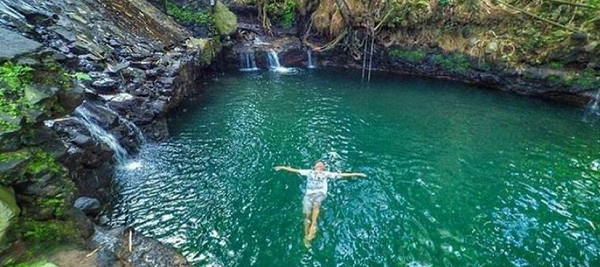 Cliff Jump atau Backflip Ala Atlet Lompat Indah