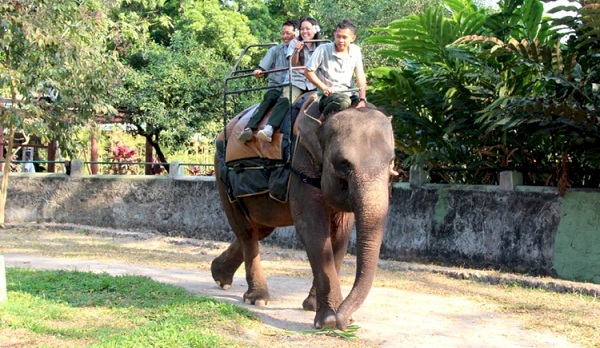 Hewan Tunggang Gembira Loka Zoo