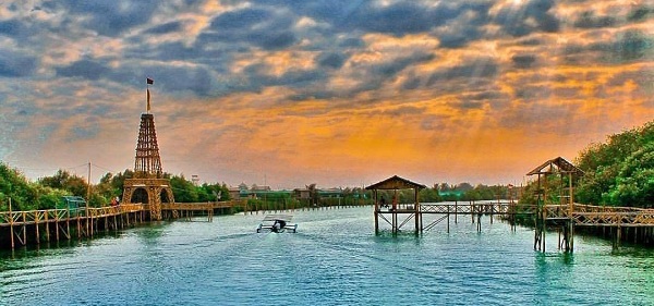 Hutan Mangrove Kulon Progo