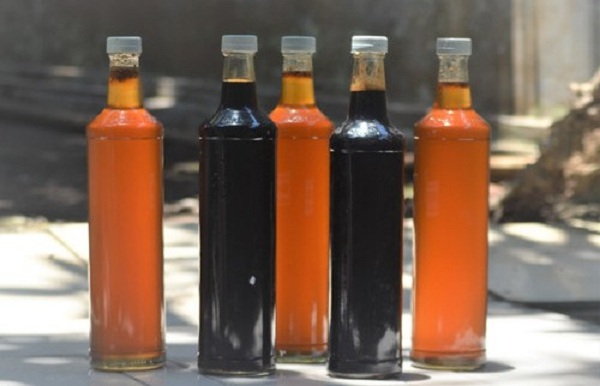 Madu Klanceng Malang