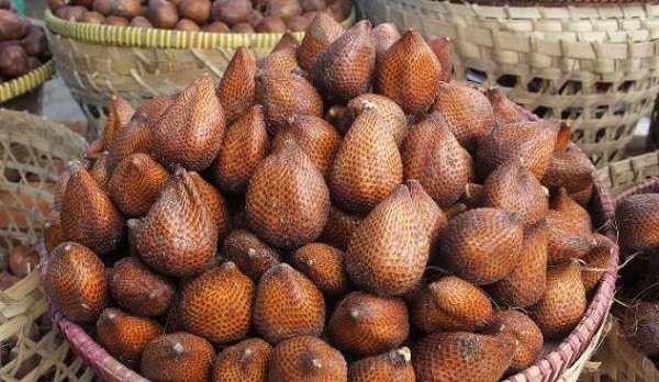 Salak Pondoh Jogja