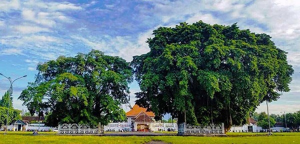 Sekilas Tentang Alun Alun Kidul