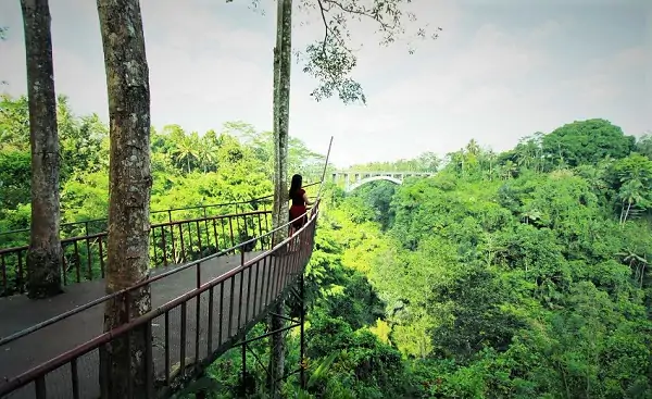 43 Tempat Wisata Di Badung Bali Terbaru Paling Hits Tanah Wuk Sangeh Bali