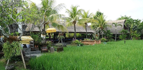 Warung Bebek Tepi Sawah Bali