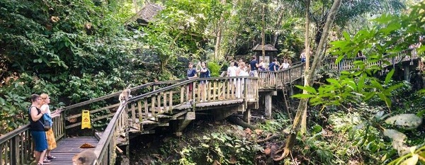 Menikmati Keindahan Hutan